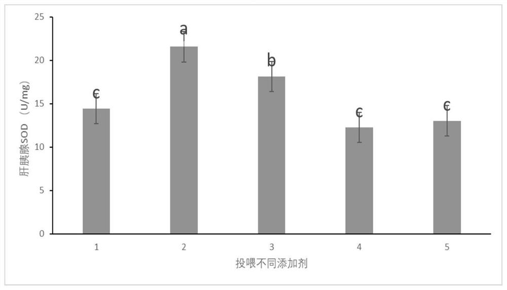 Chinese herbal medicine hepatopancreas protective agent as well as preparation method and application thereof