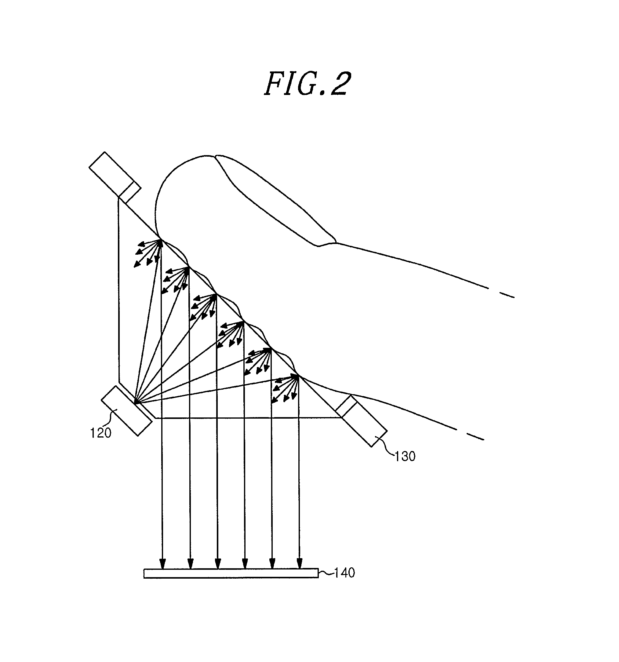 Method and apparatus for identifying fake fingerprint