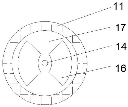 Corn processing, sorting and conveying device