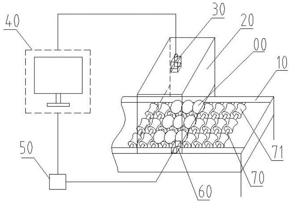 Visual inspection classification device and method for appearance dimensions of group origin duck eggs