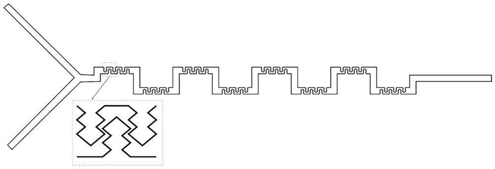 A Passive Convergent-Divergent Micromixer for Low Diffusion Coefficient Fluids