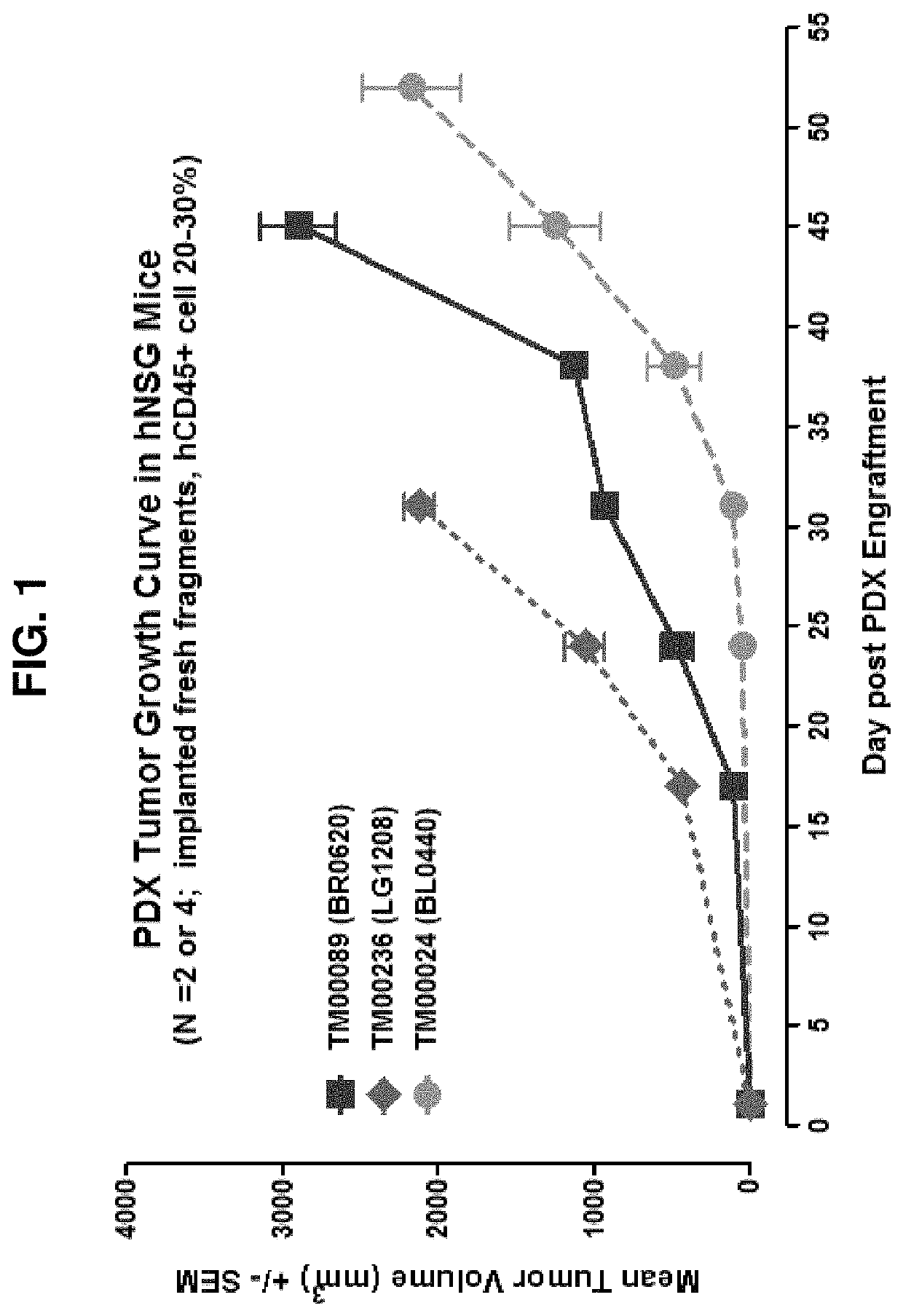 Non-HLA matched humanized NSG mouse model with patient-derived xenograft