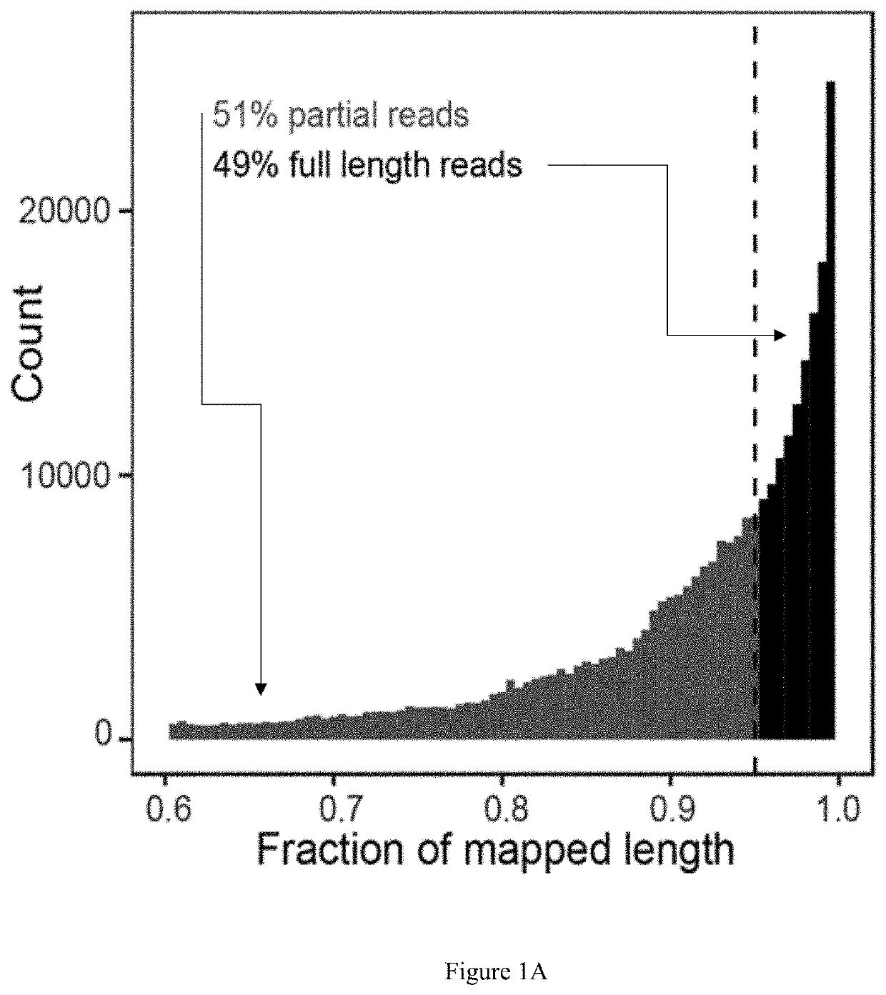 Method for identifying RNA isoforms in transcriptome using Nanopore RNA reads