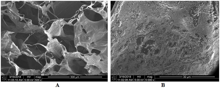 A kind of alginate-based composite photocatalytic airgel material and preparation method thereof