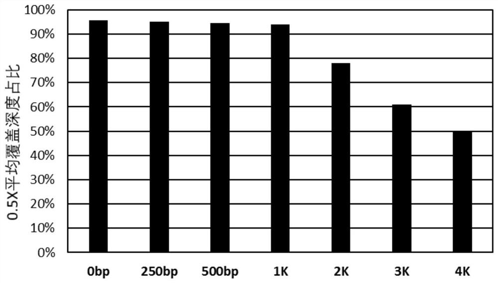 Detection probe, kit and method for Dystrophin gene