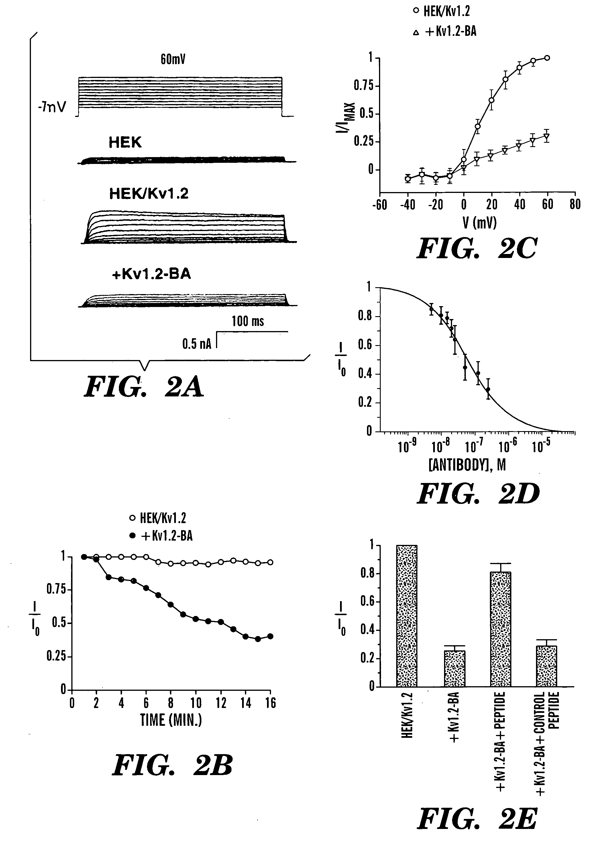 Methods for designing specific ion channel blockers