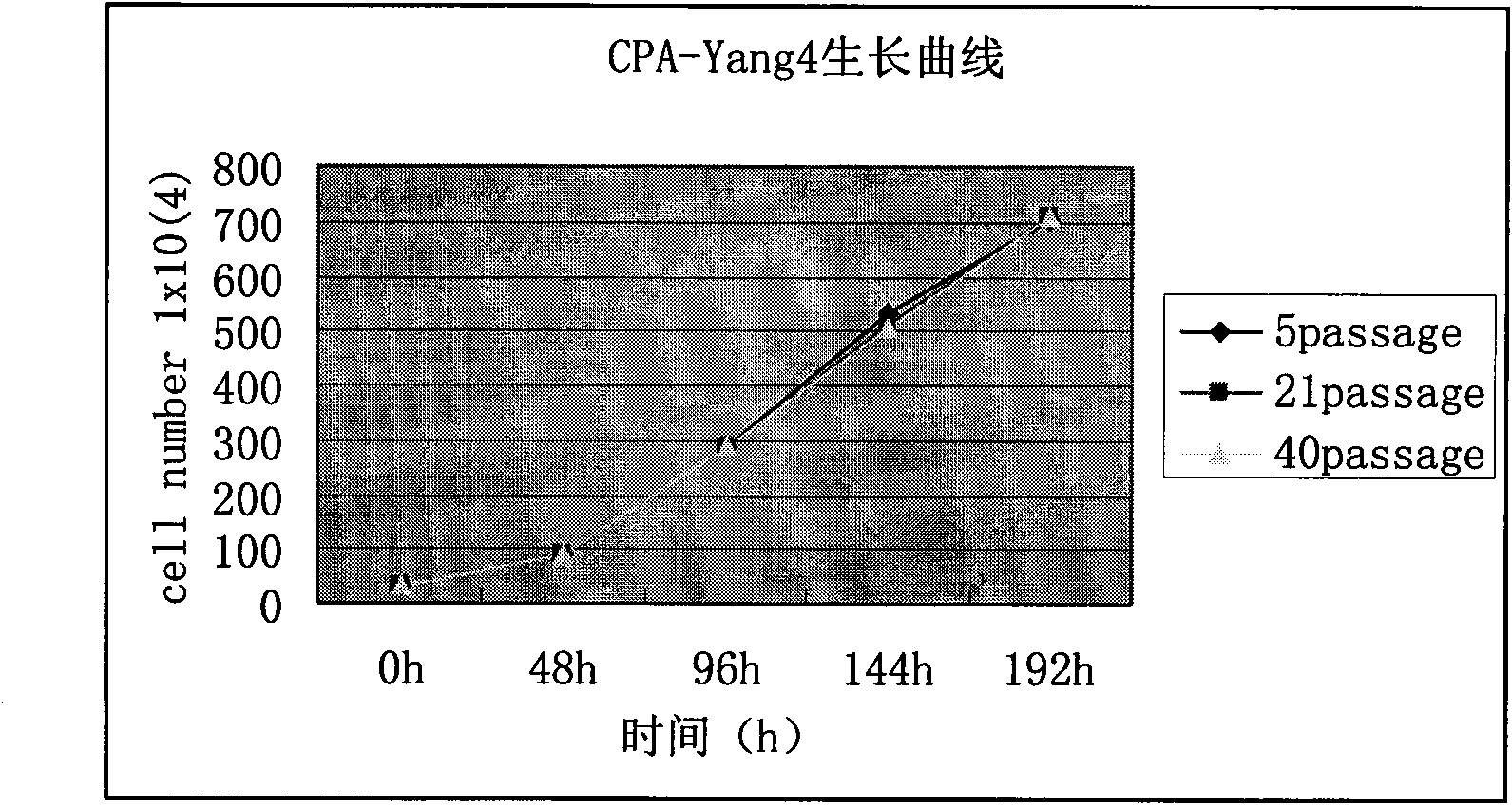 Chinese lung adenocarcinoma cell line with high metastases potentiality of bone, lever and salivary gland