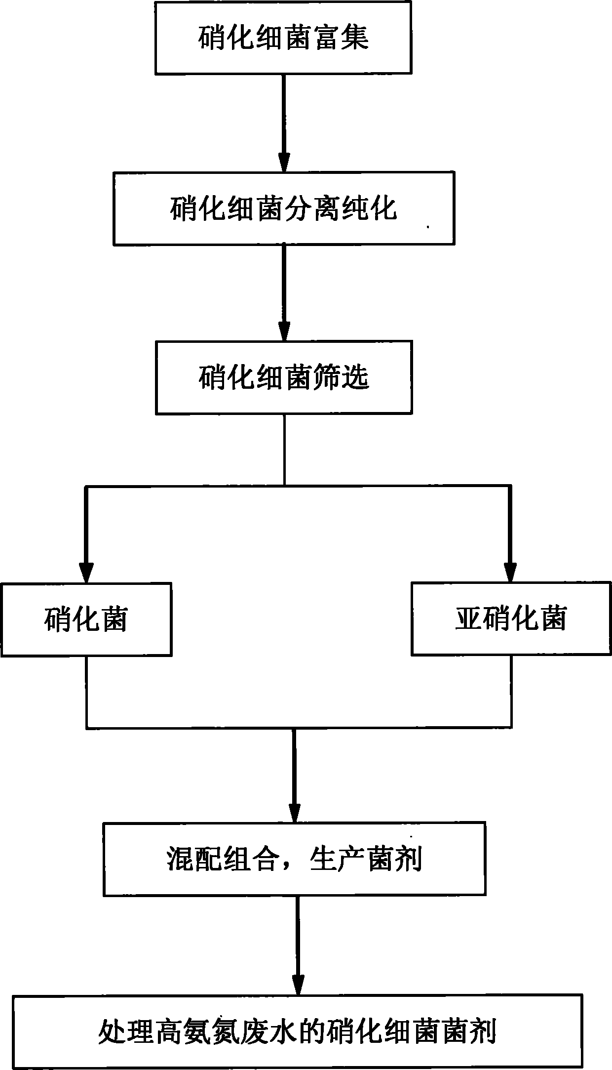 Nitrifying bacterial agent and preparation method thereof