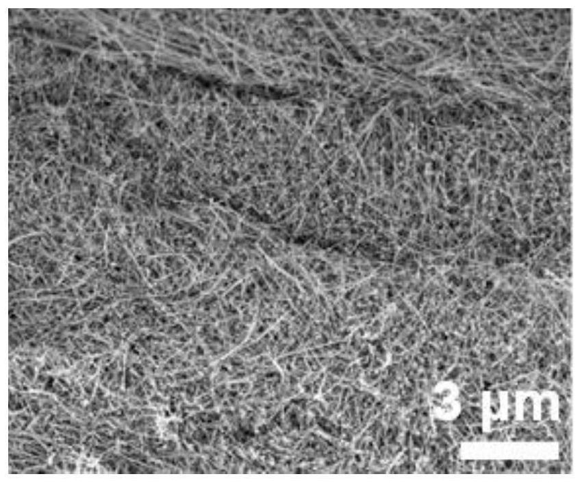 Graphene and nano-silver composite material and preparation method thereof