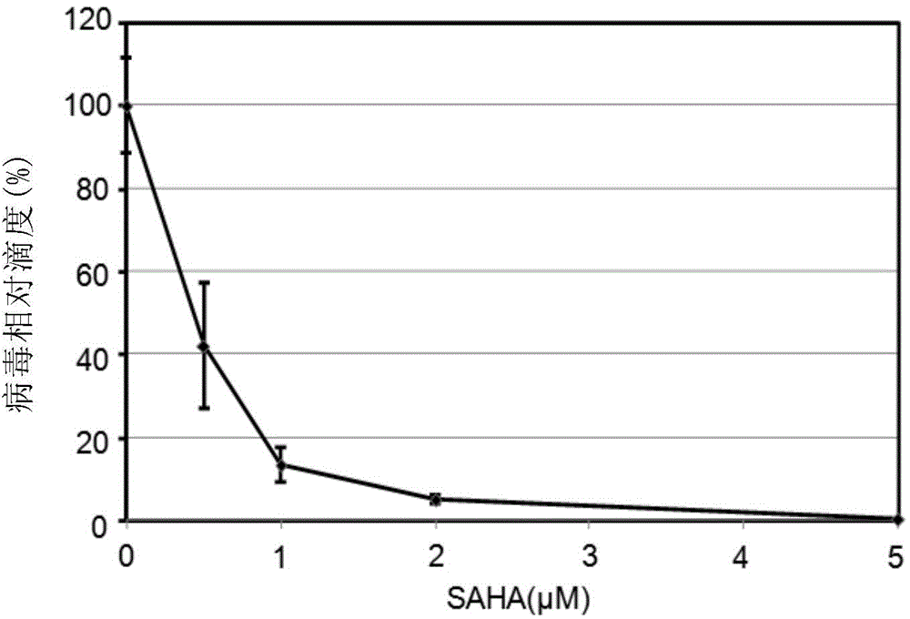 Novel applications of histone deacetylase inhibitor in treatment of beta subfamily herpesvirus