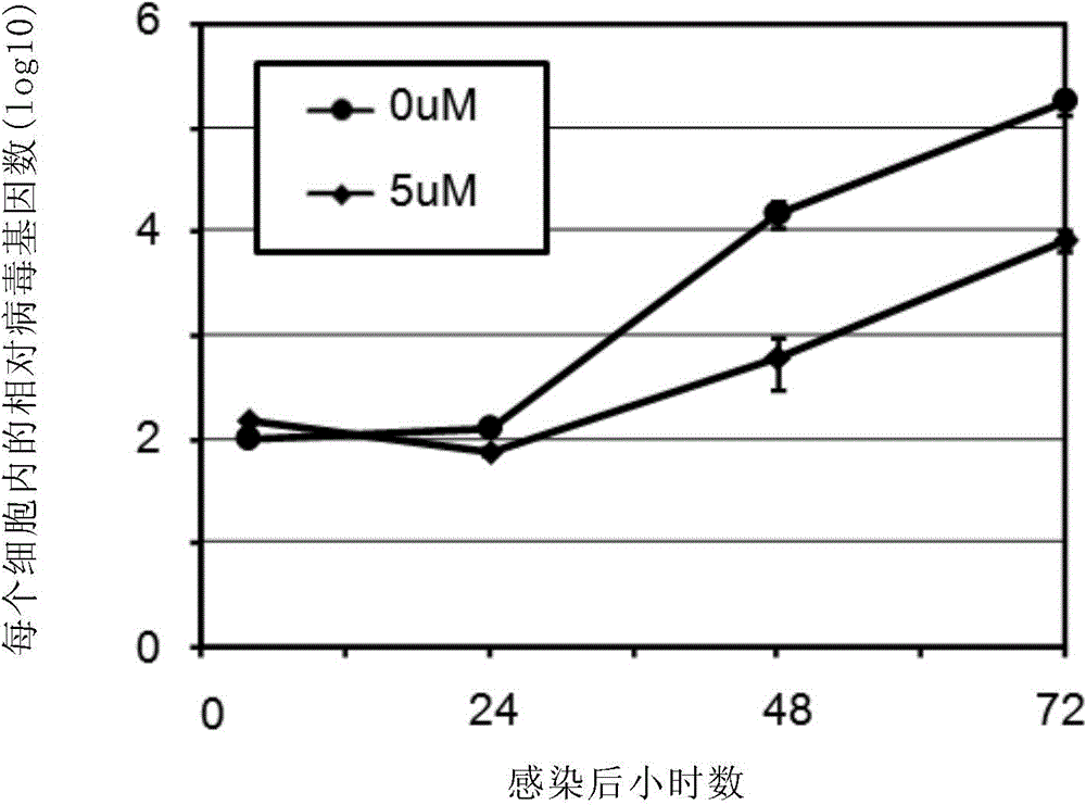 Novel applications of histone deacetylase inhibitor in treatment of beta subfamily herpesvirus