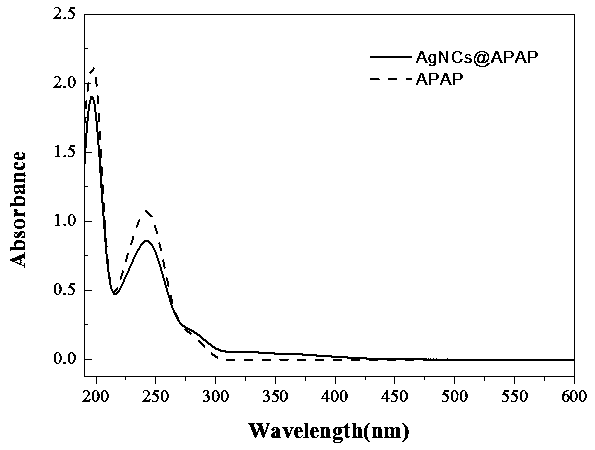 AgNCs@APAP fluorescent probe and preparation method thereof, and application of AgNCs@APAP fluorescent probe in determination of Hg(II)