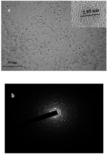 AgNCs@APAP fluorescent probe and preparation method thereof, and application of AgNCs@APAP fluorescent probe in determination of Hg(II)