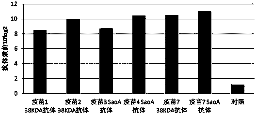 Streptococcus suis vaccine composition, and preparation method and application thereof