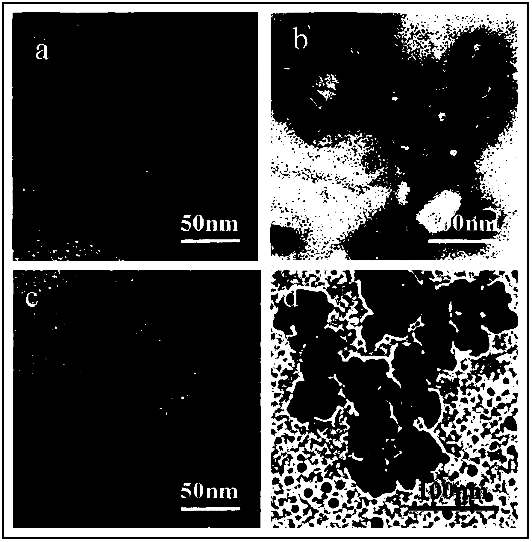 Gene vector as well as preparation method and application thereof