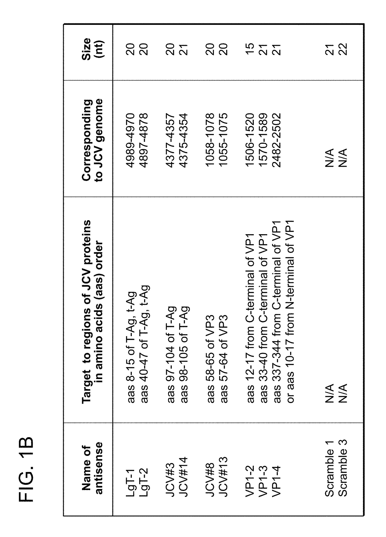 Compositions and methods for inhibiting JC virus (JCV)