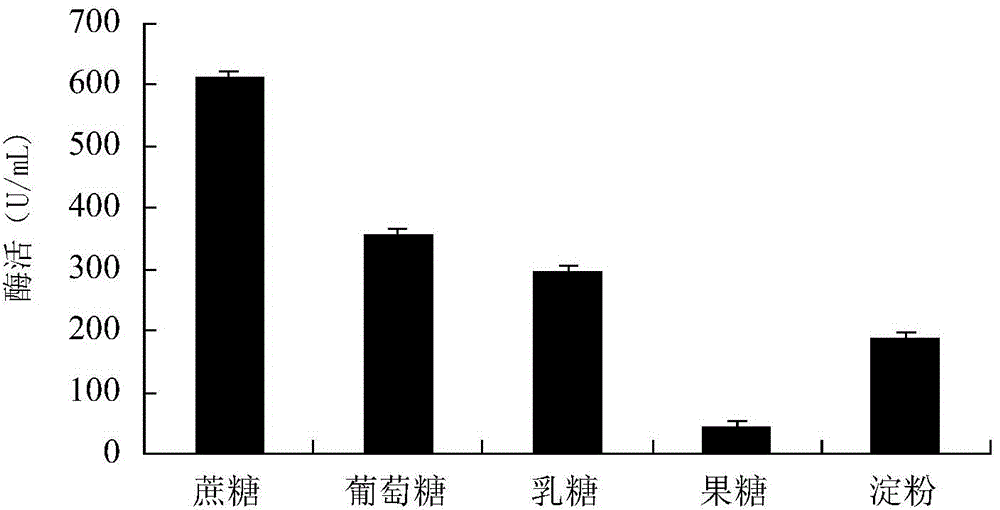 Bacterial strain for producing low temperature alkaline protease