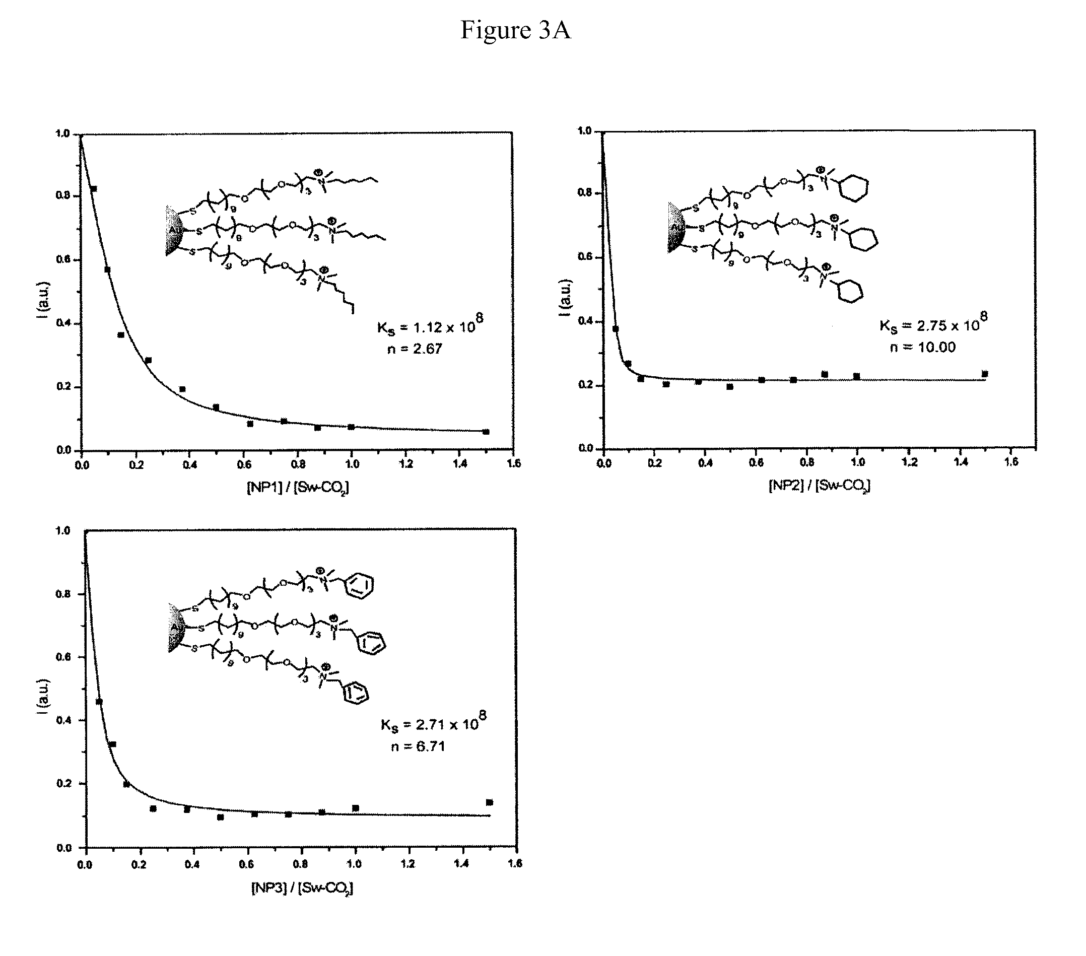 Methods and compositions for pathogen detection using fluorescent polymer sensors