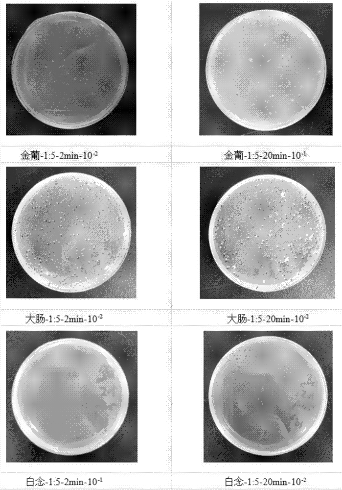 Method for preparing eye care solution from limuloid cell lysis solution