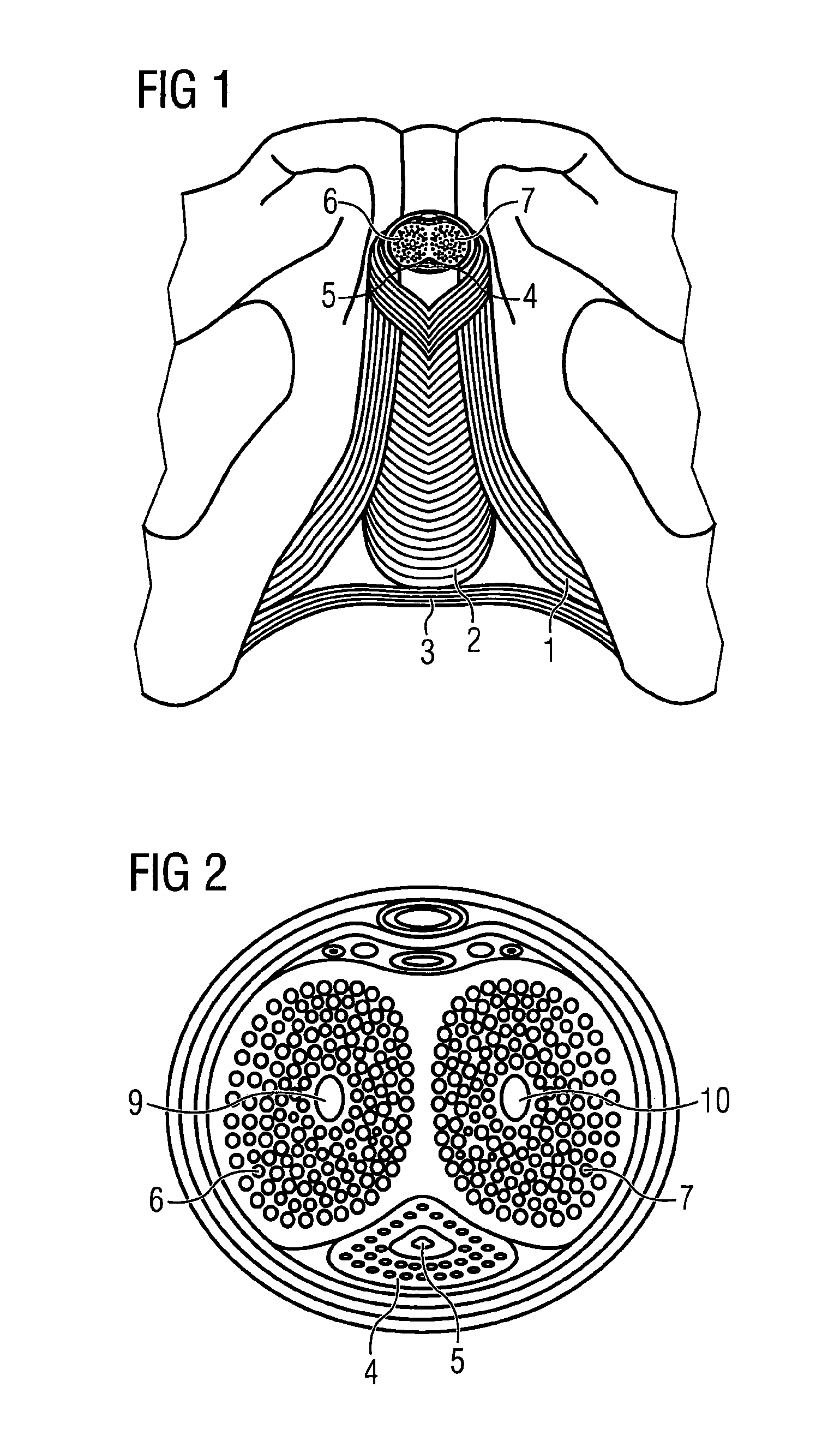 Stimulation of penis erection