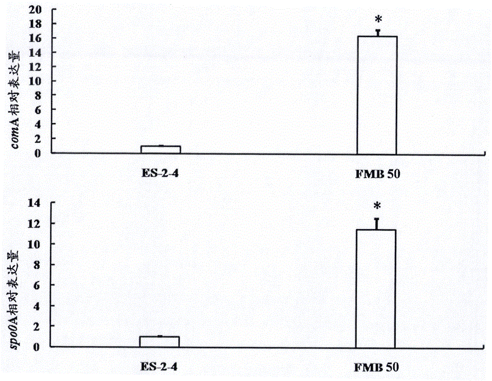 Protein two-dimensional electrophoresis method and application thereof