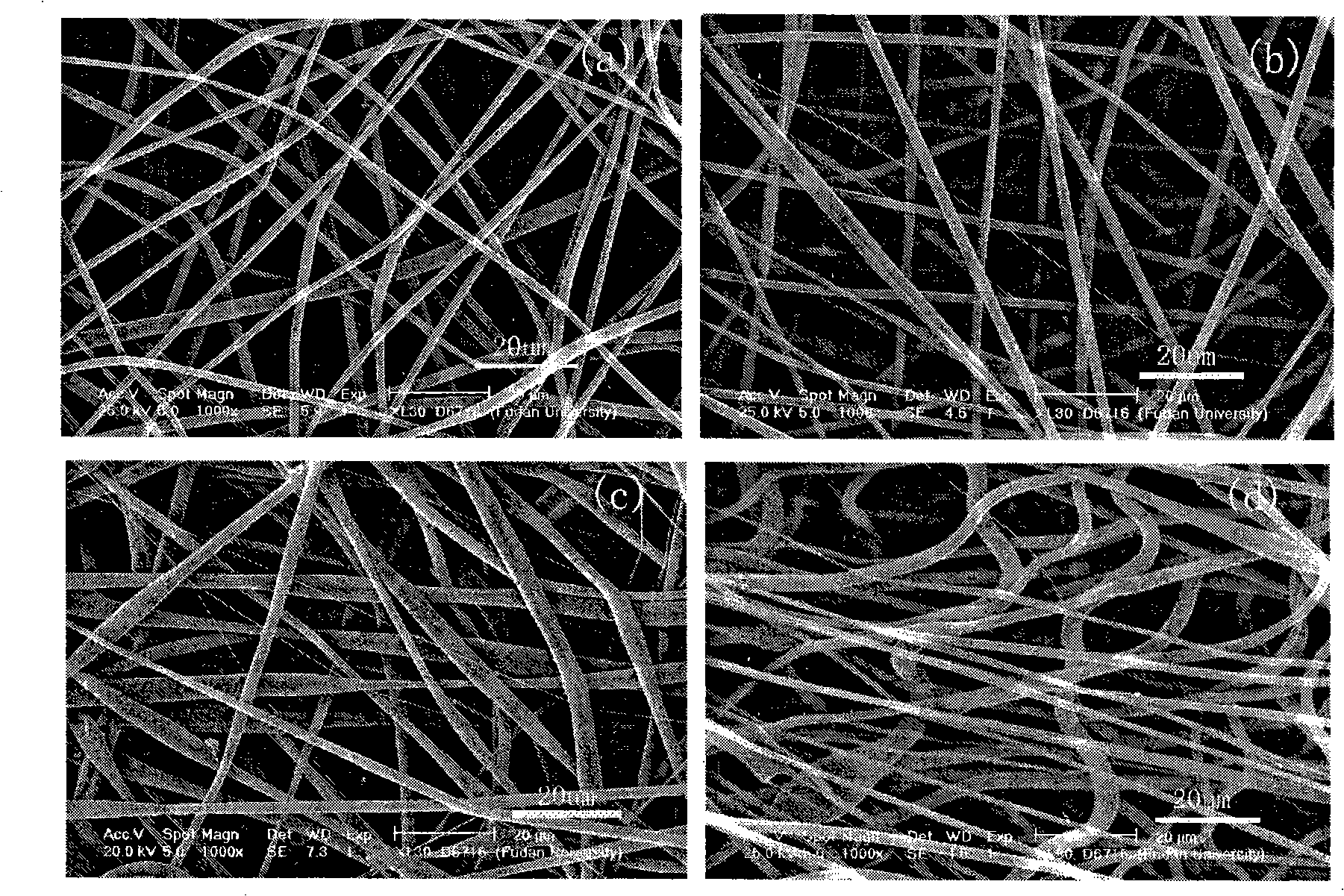 Method for preparing organic metal compound anti-cancer medicine with electrostatic spinning technique