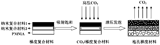 Preparation method of polymethyl methacrylate based cell gradient material