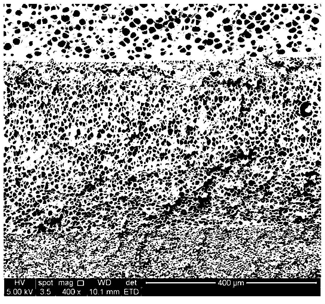 Preparation method of polymethyl methacrylate based cell gradient material