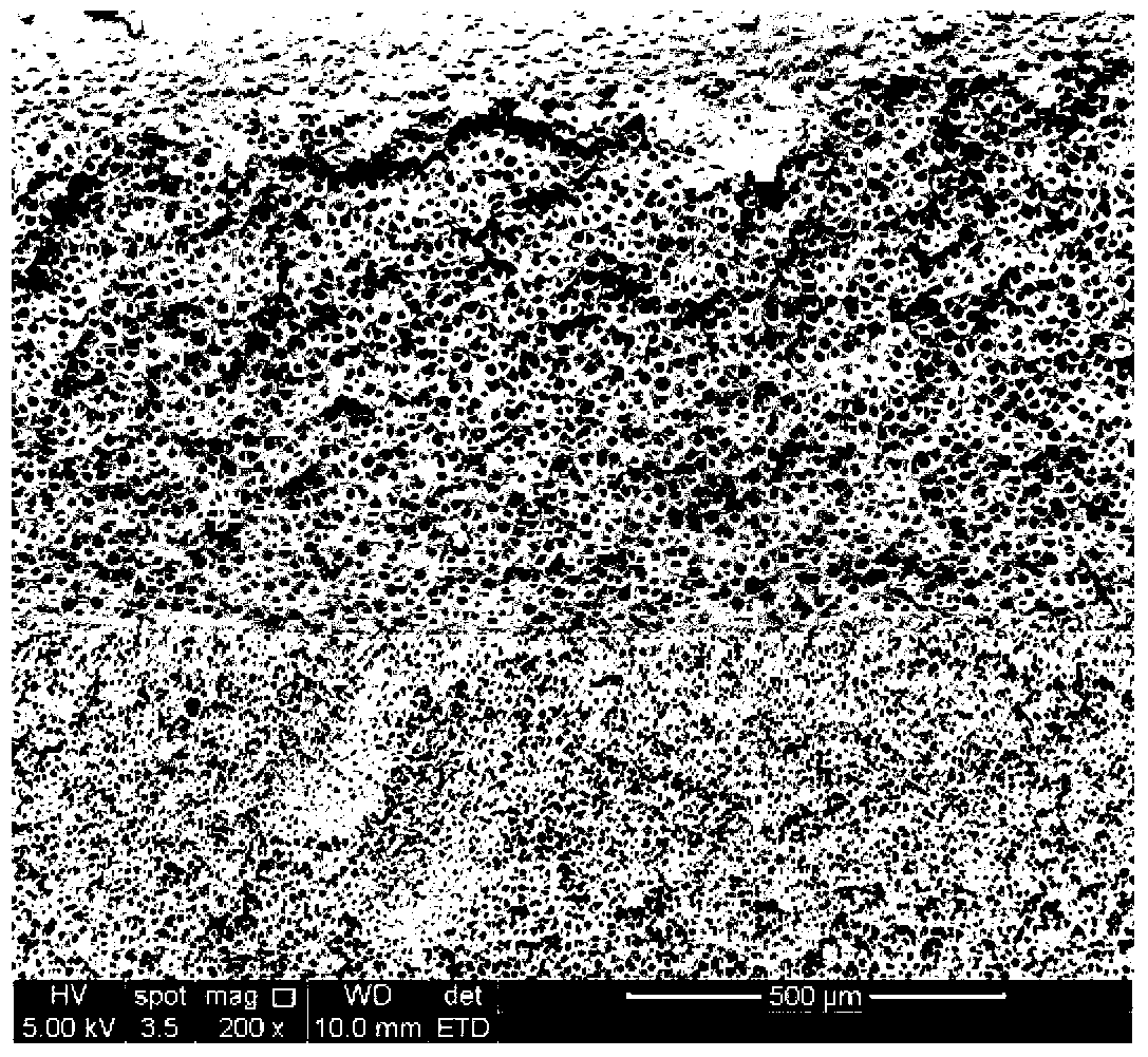 Preparation method of polymethyl methacrylate based cell gradient material