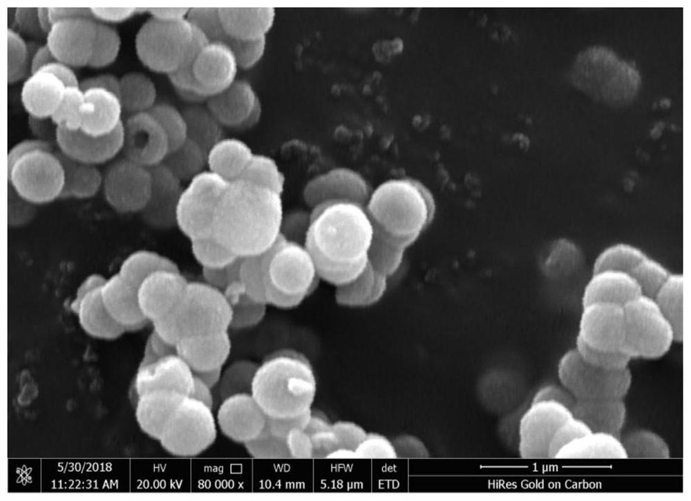 Preparation method of neodymium-doped tin dioxide photocatalytic material