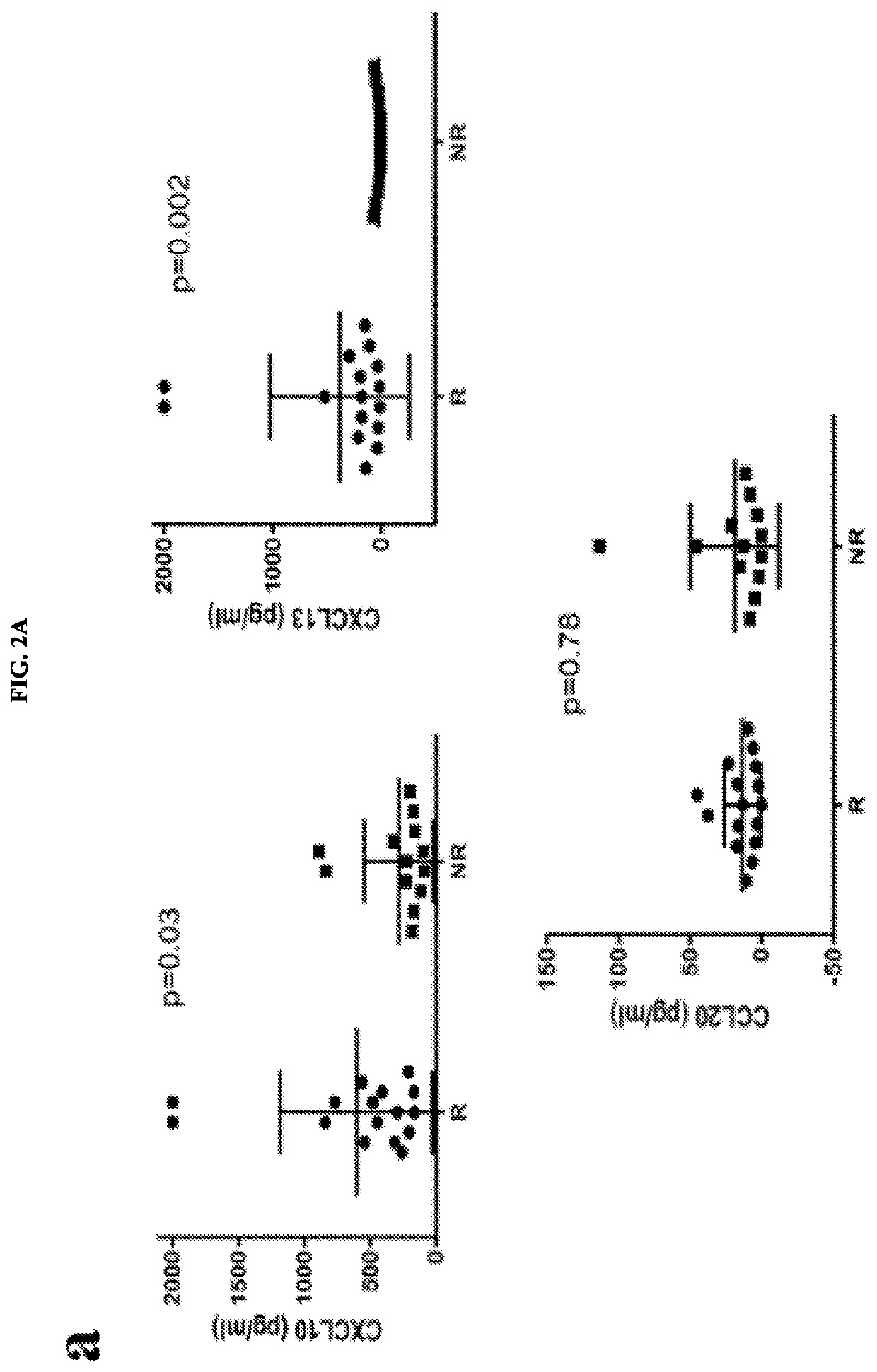 Serum biomarkers for predicting and evaluating response to TNF inhibitor therapy in rheumatoid arthritis patients