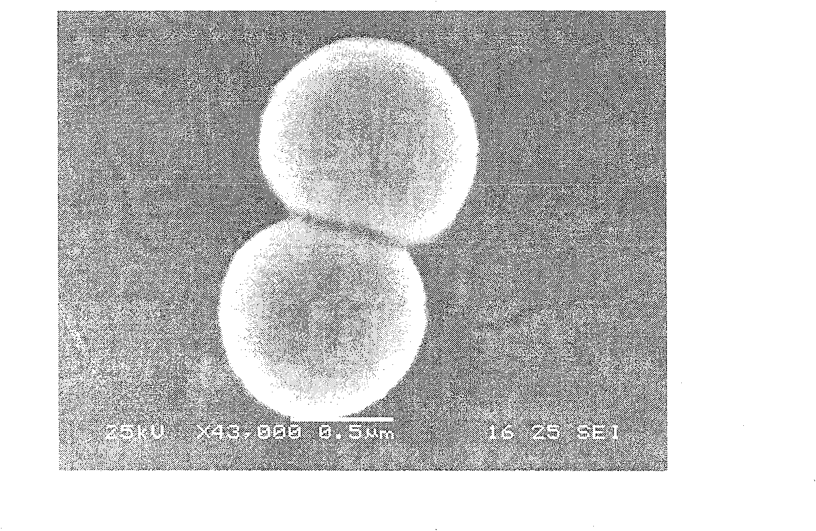 Staphylococcus pasteuri LF-2 and application thereof