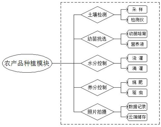 Agricultural product quality whole-course traceable system