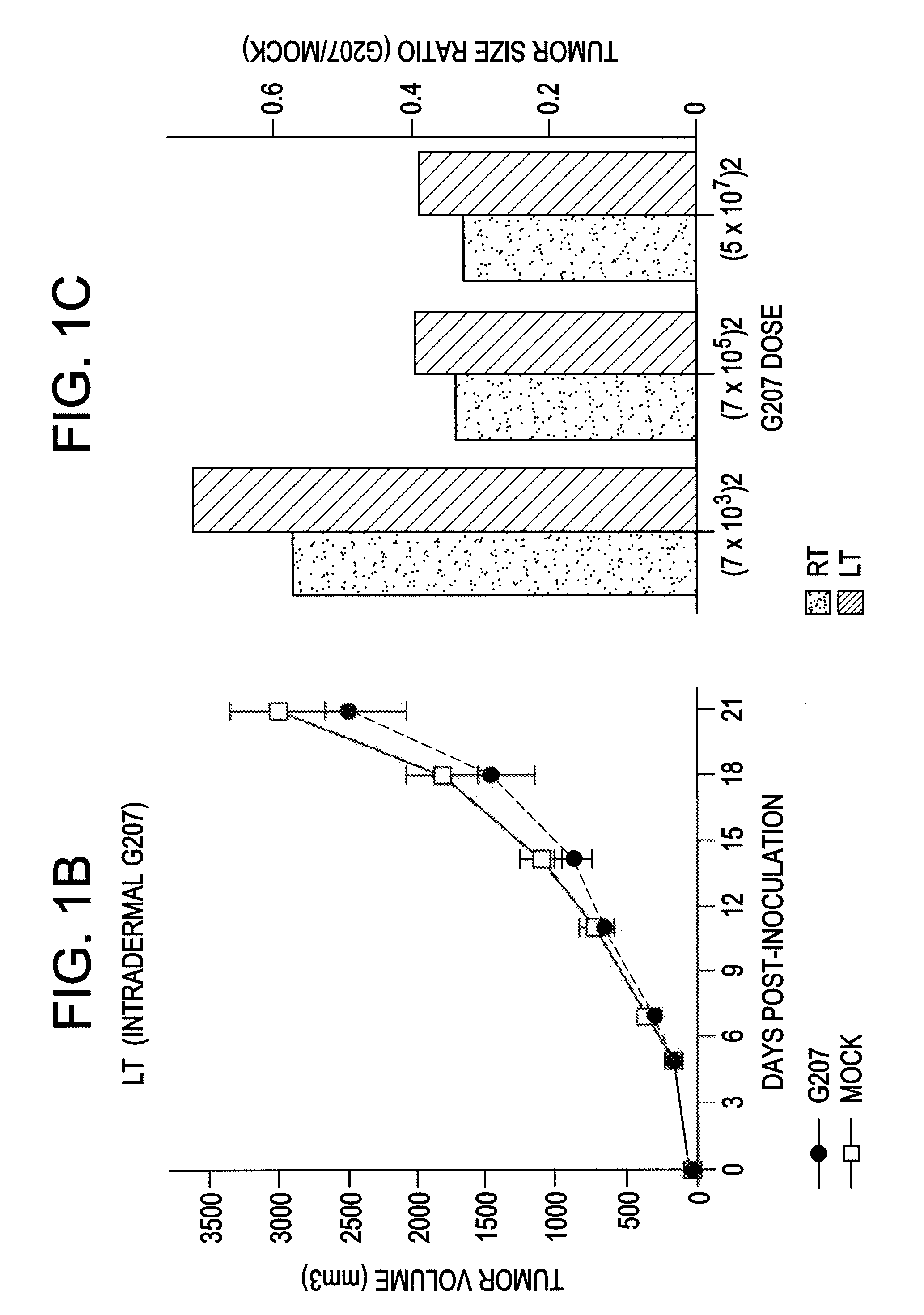 Use of herpes vectors for tumor therapy