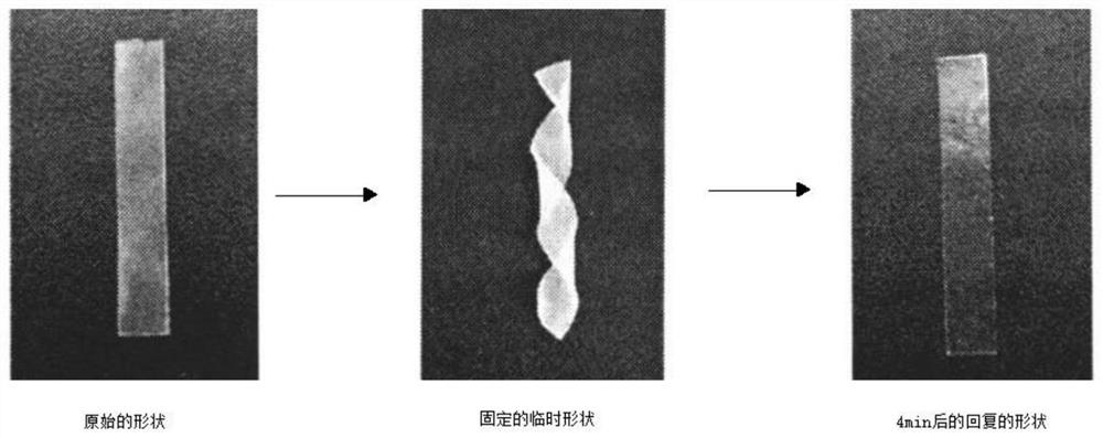 Preparation method and application of bio-based polymer capable of recovering high strain