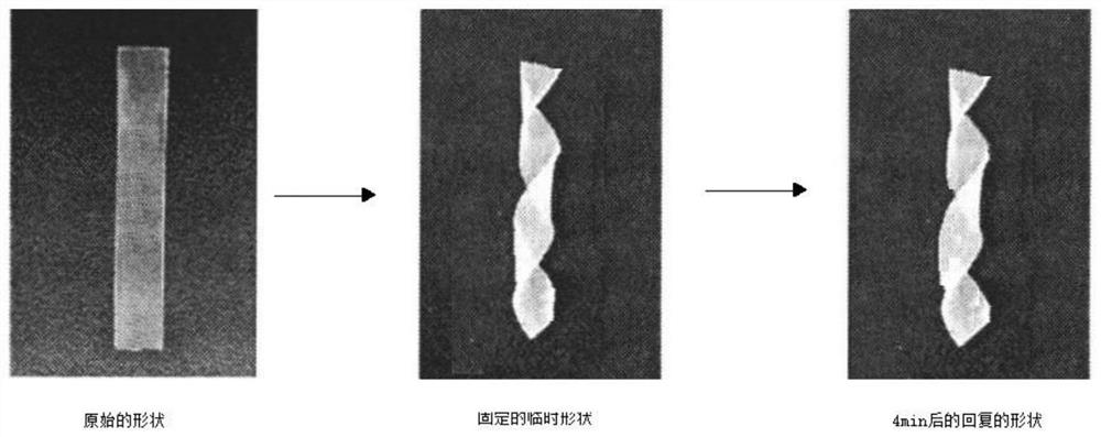 Preparation method and application of bio-based polymer capable of recovering high strain