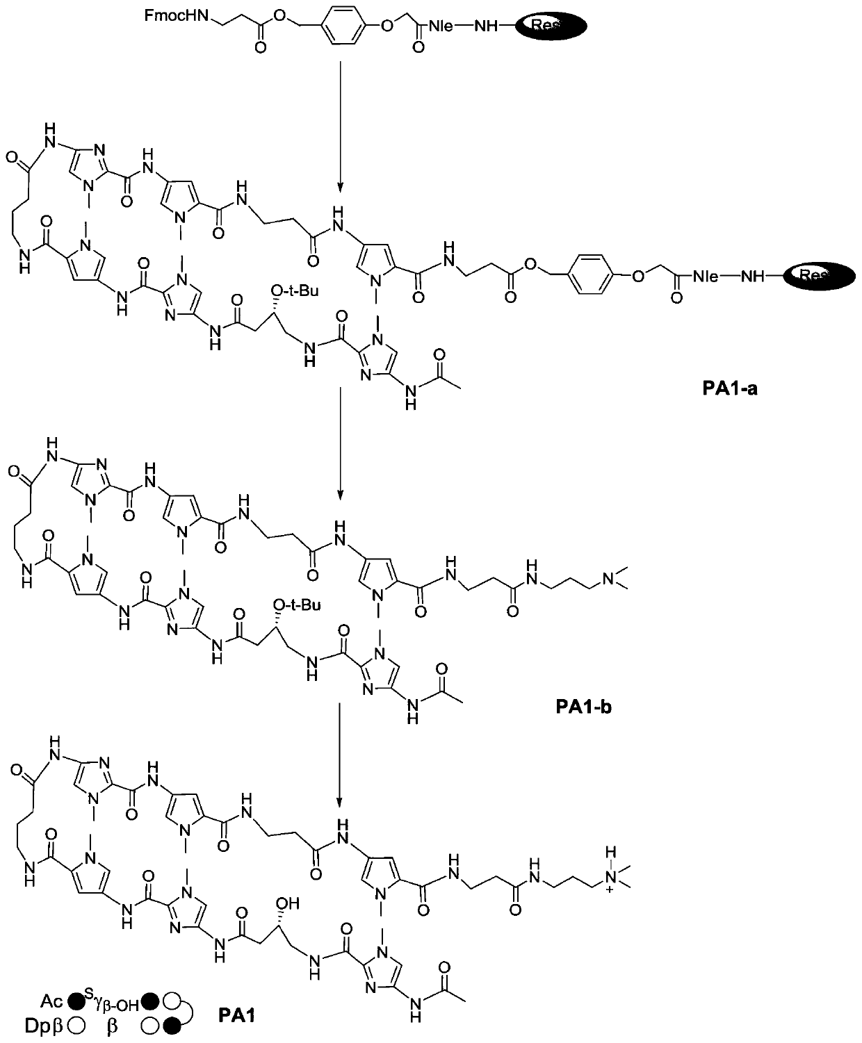 c-Myc gene expression inhibitor and application thereof