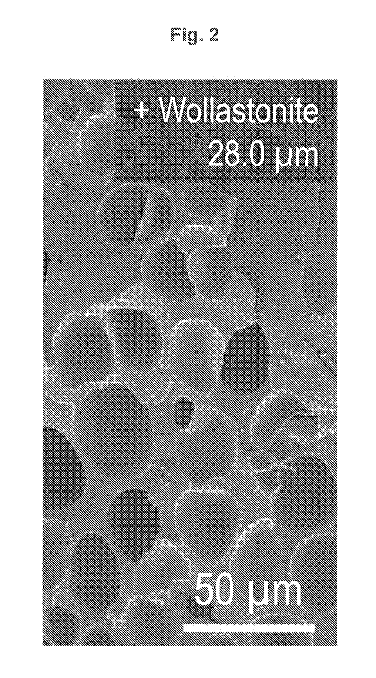 Controlled polymer foaming using a hybrid nucleating agent formed from a mineral and an organic nucleating agent