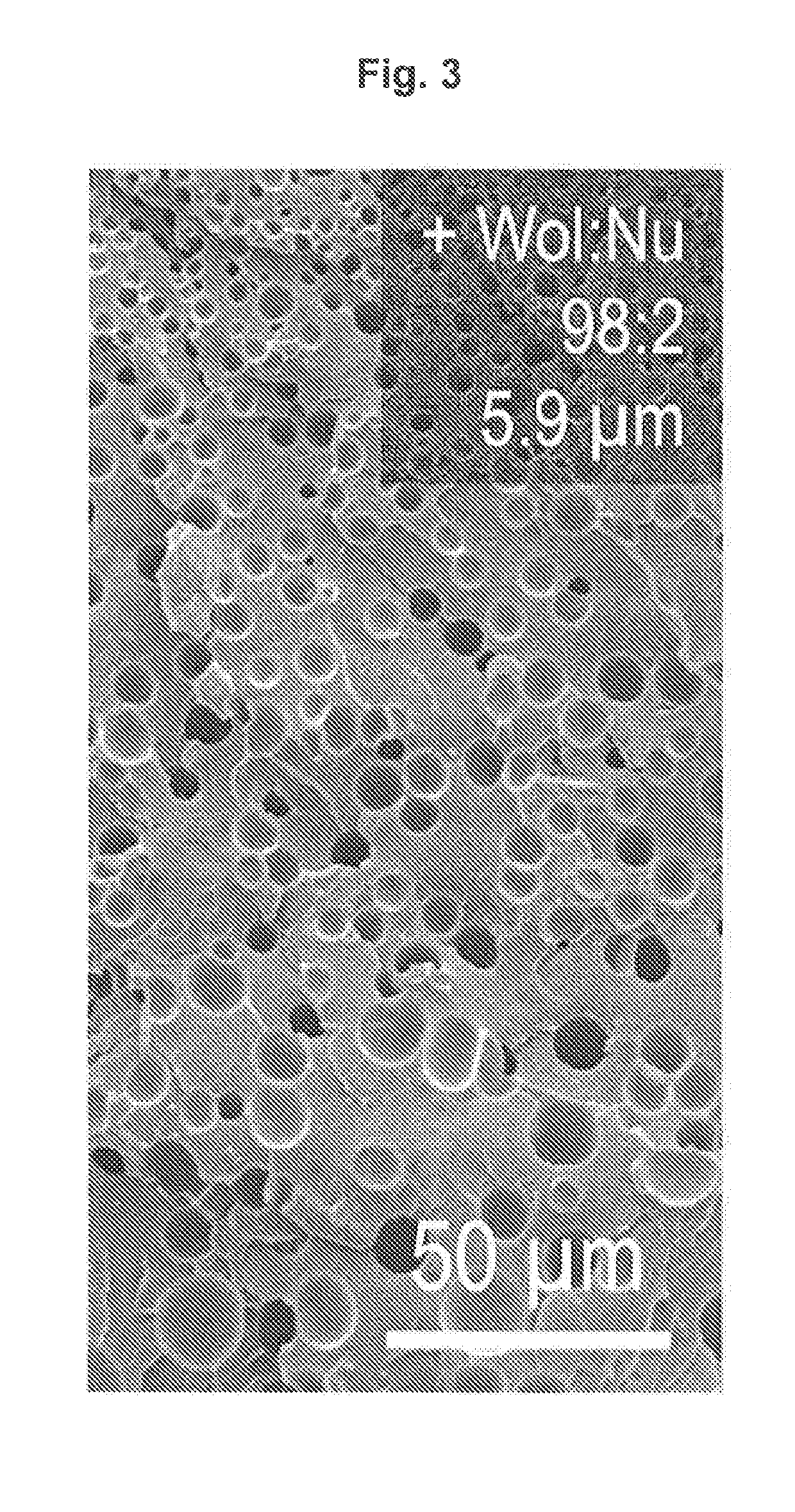 Controlled polymer foaming using a hybrid nucleating agent formed from a mineral and an organic nucleating agent