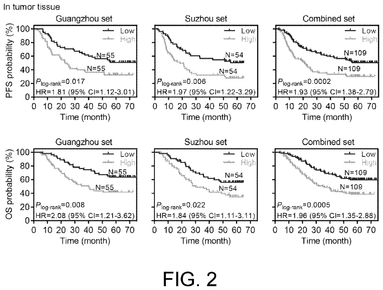 Pirna-54265 detection kit used for early screening, diagnosis, curative efficacy monitoring and prognostic evaluation of colorectal cancer