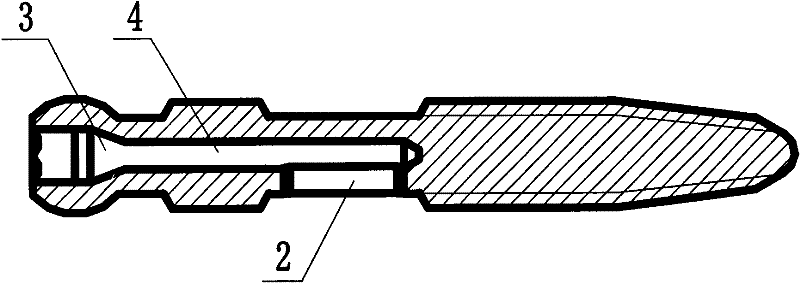 Perfusion type pedicle screw