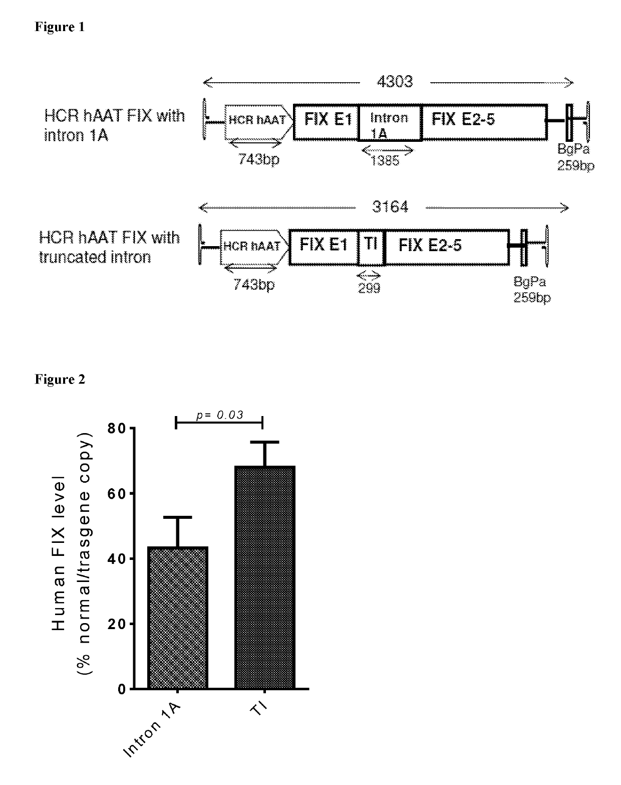 Factor IX gene therapy