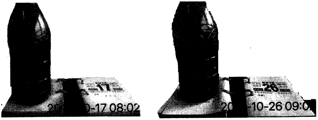 Preparation method of high-concentration microalgae living cell long-acting preservative