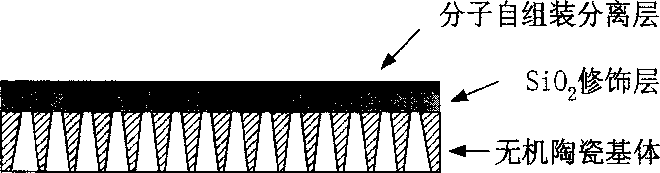 Process for preparing organic and inorganic composite film by autoassembling tech