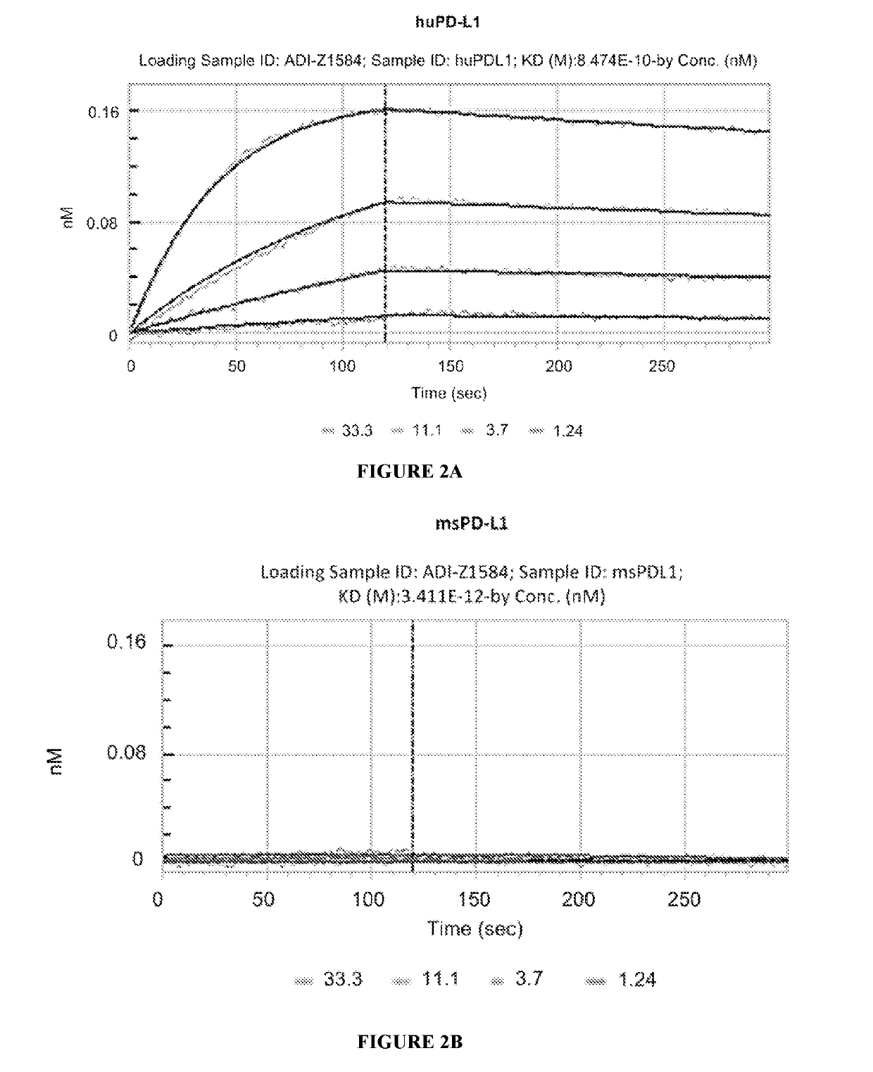 Combination of an Anti-cd20 antibody, pi3 kinase-delta inhibitor, and Anti-pd-1 or Anti-pd-l1 antibody for treating hematological cancers