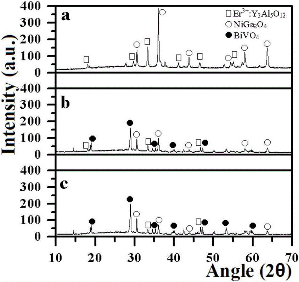 Composite photocatalysis system, and preparation method and application thereof