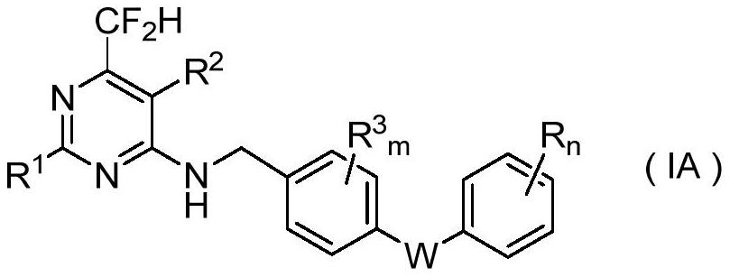 N-aryloxy/thiobenzyl difluoromethyl pyrilamine compound as well as preparation method and application thereof