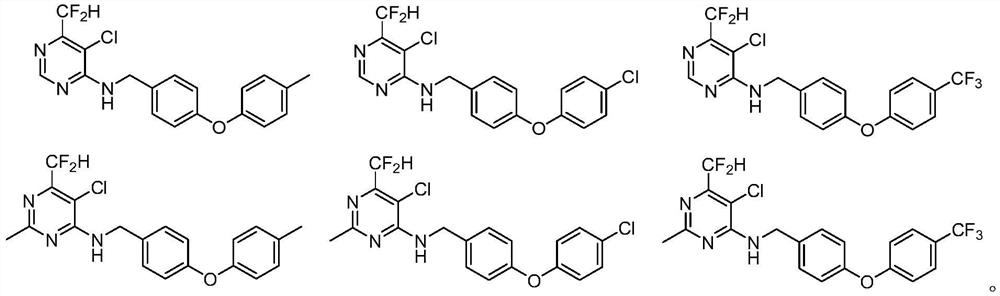 N-aryloxy/thiobenzyl difluoromethyl pyrilamine compound as well as preparation method and application thereof