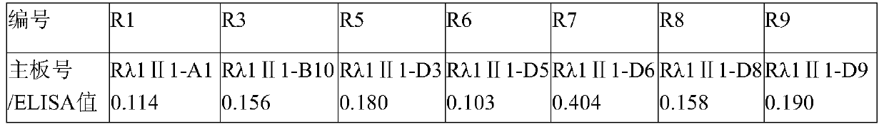 A kind of anti-rabies virus specific human antibody and its application