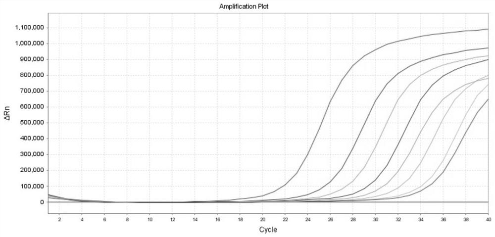 Y chromosome microdeletion detection kit